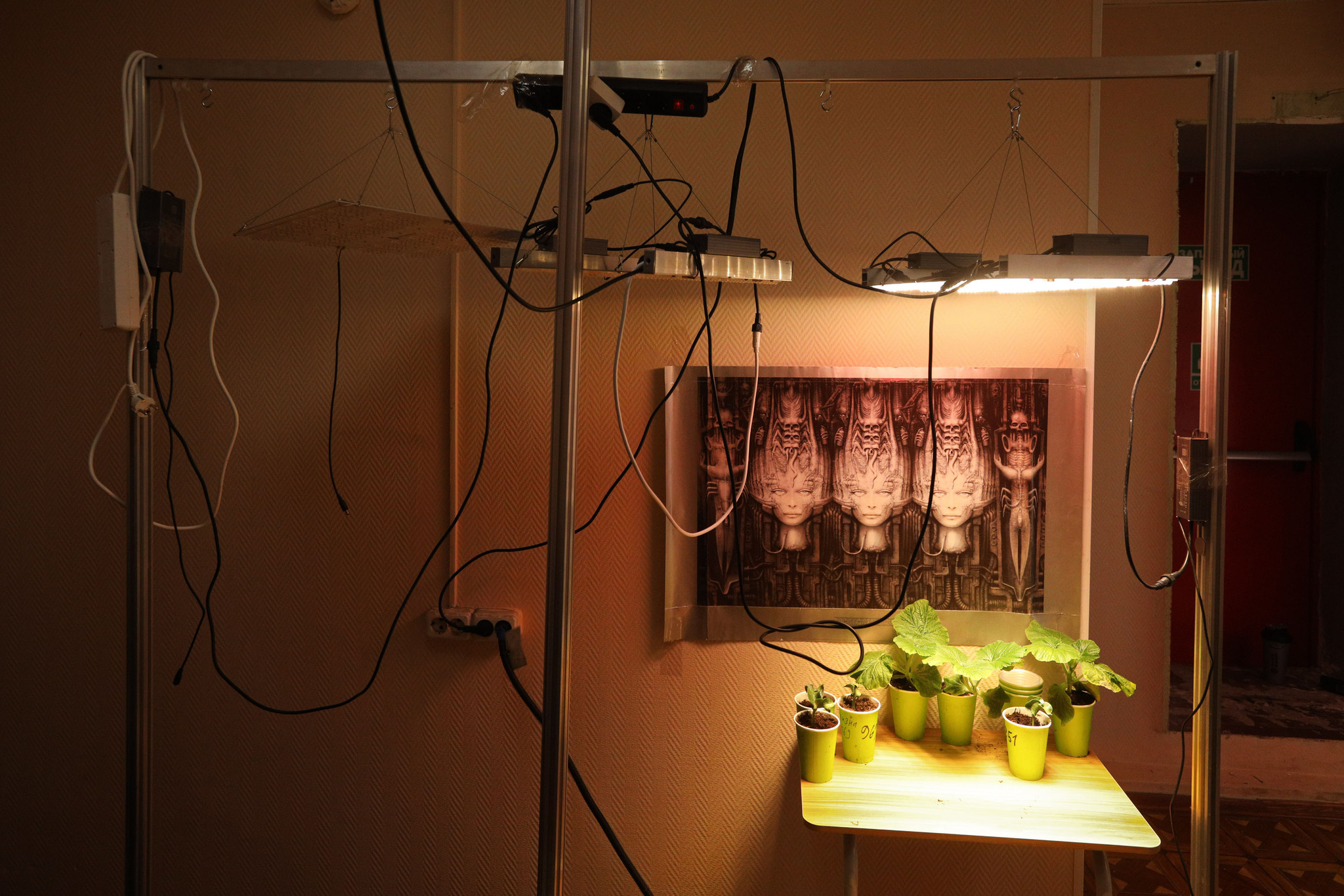 Фотограф: Мария Плотникова